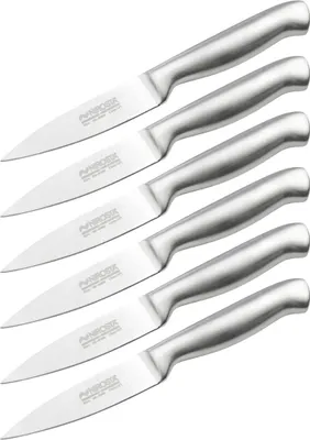 Image de Ensemble de 6 Couteaux d'office en inox 20 cm en tout Nirosta Star
