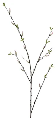 Immagine prodotto di Clayre & Eef, fiore artificiale, bianco, in plastica