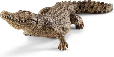 Produktbild von schleich WILD LIFE Krokodil, 3 Jahr(e), Safari, Wild animals / adventure toys, Mehrfarbig, Kunststoff, 1 Stück(e)