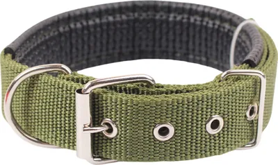 Produktbild von Haustierhalsband, verstellbar, Nylon, Hundehalskreis, langlebiger Haustierhalsgurt mit Traktionsring, Haustierbedarf