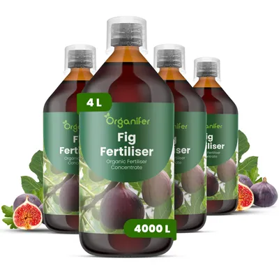 Obrázek produktu pro Fig Tekuté Hnojivo 4x1 L – 2-1-8 NPK – Pro Figy & Ovocné Rostliny – Podporuje Silný Růst, Zdravé Listy & Kvalitu Plodov – Organifer