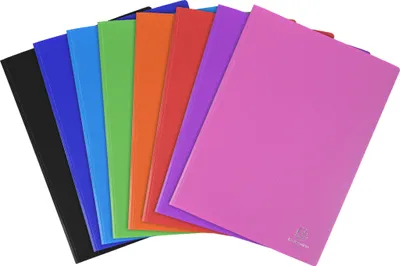 Produktbild von Exacompta 12x Sichtmappe PP 500µ 30 glatten Hüllen transluzent A4 sortiert 8830E
