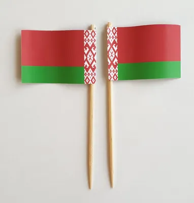 Produktbild von Party-Picker Flagge Weißrussland Papierfähnchen in Spitzenqualität 25 Stück Beutel