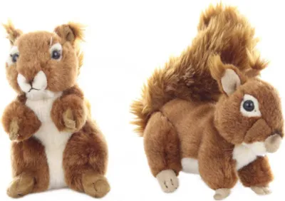 Image de Peluche Écureuil 16 cm
