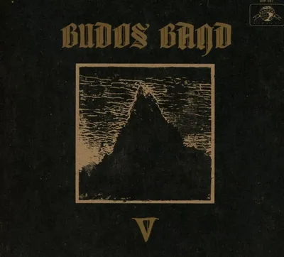Produktbild von The Budos Band: The Budos Band: V - - (CD / V)