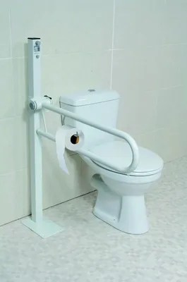 Produktbild von Klappbarer Haltegriff mit Toilettenpapierhalter auf verstellbarer und robuster Säule