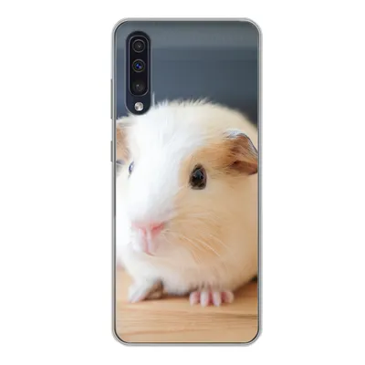 Produktbild von MuchoWow® Handyhülle Schutzhülle Hülle für Samsung Galaxy A50 Niedliches Baby-Meerschweinchen Silikon Softcase Handy Hülle - Mobiltelefonhülle