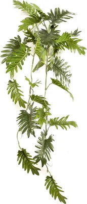 Produktbild von artplants.de Kunstpflanzen Hänger Philodendron selloum SNALVI auf Steckstab, 90cm - Künstlicher Pfhilodendronhänger