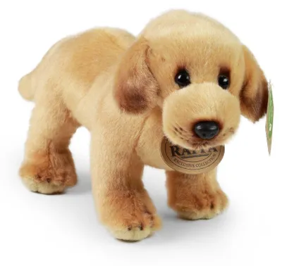Produktbild von Rappa Plüsch Labrador Kuscheltier 20 cm umweltfreundliches Spielzeug