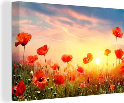 Obrázek produktu pro OneMillionCanvasses® - Plátno - Vlčí máky - Jaro - Barvy, nástěnná malba, nástěnné dekorace obrazy obývací pokoj, 120x80cm