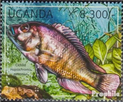 Produktbild von Briefmarken Uganda 2012 Mi 2779 (kompl.Ausg.) postfrisch Süßwasserfische