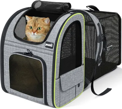Haustierrucksack Hundetasche Katzentransporttasche, erweiterbar, atmungsaktiv