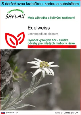 Obrázok produktu pre SAFLAX Darčeková sada - Edelweiss - Leontopodium alpinum - 500 Semená - S darčekovou krabičkou, prepravným štítkom, darčekovou kartou a pestovateľským médiom