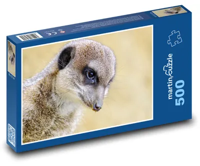 Produktbild von Puzzle 500 Porträt einer gierigen Erdmännchen - martinpuzzle