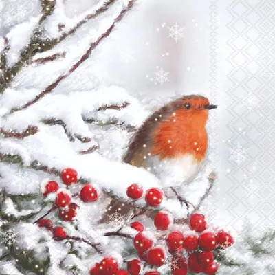 Produktbild von 20 Servietten Robin in Snow - Kleiner Vogel in Winterzweige 33x33cm
