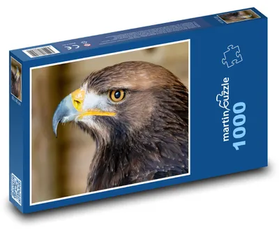 Produktbild von Puzzle 1000 Majestätischer Adler auf der Jagd - martinpuzzle