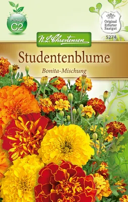 Immagine prodotto di Miscela "Bonita" di fiori per studenti | Semi di fiori per studenti di N.L. Chrestensen