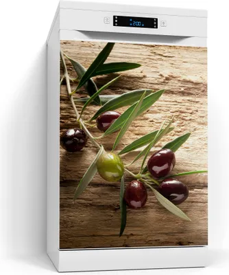 Produktbild von DEQORI Magnetmatte Spülmaschine beschreibbar 60x80 cm 'Dekorativer Olivenzweig ' Magnetfolie