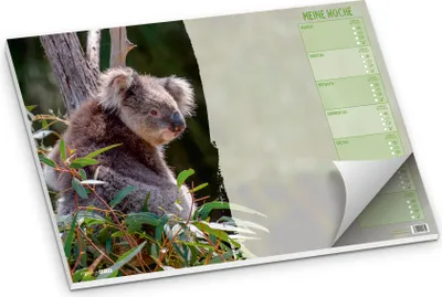 Produktbild von itenga Schreibtischunterlage für Kinder KOALA DIN A3 50 Blatt