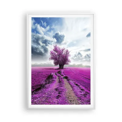 Produktbild von Gerahmtes Poster - Weißer Rahmen - Heidefeld Baum Wolken Landschaft - 70x100 cm - Wand Bild - Wanddeko - Wandbilder - Wandposter - Bilderrahmen - Bilder - Kunstdruck - Wandbild - P2WPA70x100-2547