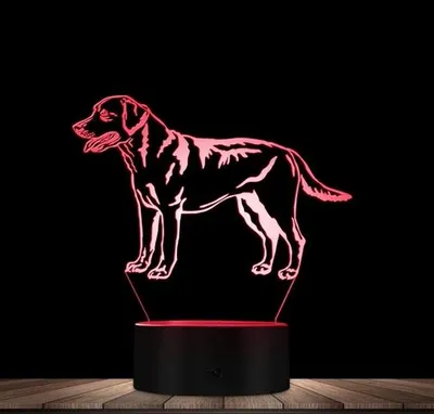 Image de Lampe LED 3D moXomi Labrador 16 Couleurs Télécommande