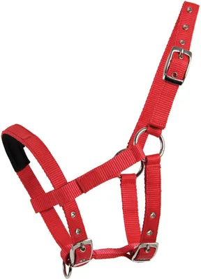 Produktbild von Waldhausen Mini-Shetty Halfter