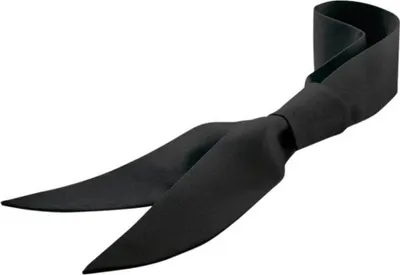 Produktbild von Servicekrawatte schwarz : schwarz : 65% Polyester 35% Baumwolle