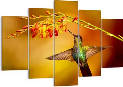Produktbild von Bild auf Leinwand - Leinwandbild - Kolibri Vogel Sommer - 150x100cm - Wand Bild - Wanddeko - Leinwanddruck - Bilder - Kunstdruck - Wanddekoration - Leinwand bilder - Wandkunst - EA150x100-3490