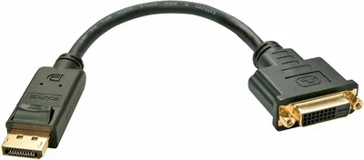 Immagine prodotto di Cavo adattatore LINDY da Displayport a DVI-D 0,15 m