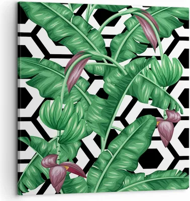 Produktbild von Bild auf Leinwand - Leinwandbild - Blatt Pflanze Blume - 60x60cm - Wand Bild - Wanddeko - Wandbilder - Leinwanddruck - Bilder - Kunstdruck - Wanddekoration - Leinwand bilder - Wandkunst - AC60x60-3798