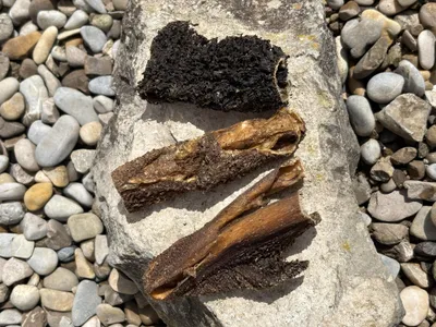Produktbild von Rinderpansen Natur Pansenstangen Pansen für Hunde 200g