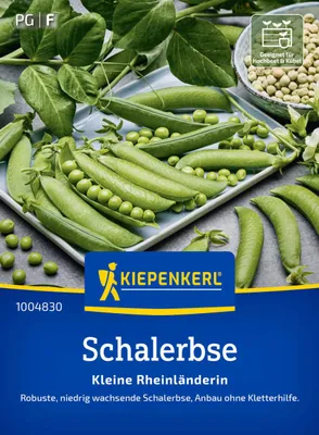 Produktbild von Kiepenkerl Saatgut Schalerbsen Kleine Rheinländerin für ca. 2,4 – 4 m²