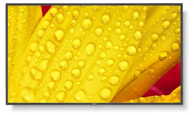 Produktbild von NEC MultiSync ME431 - 109 cm (43") Diagonalklasse ME Series LCD-Display mit LED-Hintergrundbeleuchtung - Digital Signage - 4K UHD (2160p) 3840 x 2160 - Direct LED - Schwarz, Pantone 426M