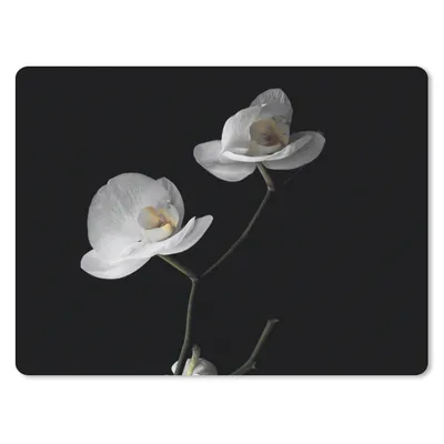 Produktbild von MuchoWow® Mauspad Mousepad Orchidee - Blumen - Schwarz - Weiß - Stilleben 23x19 cm - Mousepads - Maus Mat - Pad - Mausunterlage - Schreibtischunterlage - Mauspad