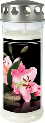 Produktbild von JEKA-Motivkerze "Lilie", 100% Pflanzenöl, 75/215 mm, Brenndauer bis zu 7 Tage, 3 Stück