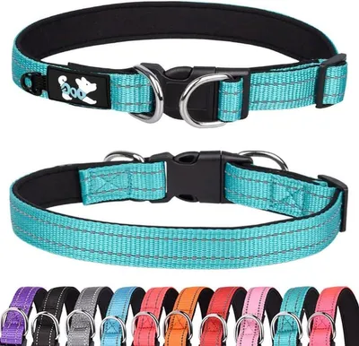 Hunde-Halsband, Hauptbild