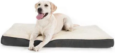 Produktbild von Hundekissen Schaum Hundematraze 90x70cm Mittelgröße