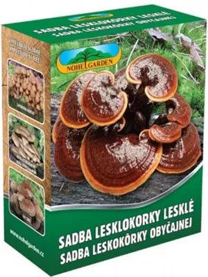 Zdjęcie produktu dla NOHEL GARDEN Glossy Cortex 250 ml