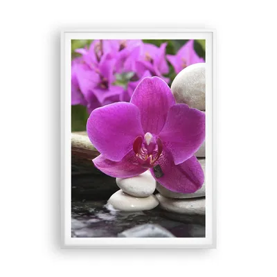 Produktbild von Gerahmtes Poster - Weißer Rahmen - Orchidee Bambus Dekoration Spa - 70x100 cm - Wand Bild - Wanddeko - Wandbilder - Wandposter - Bilderrahmen - Bilder - Kunstdruck - Wandbild - P2WPA70x100-2666