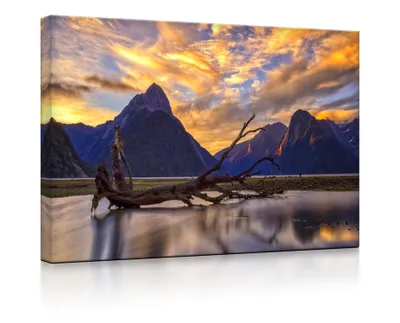 Produktbild von lightbox multicolor | Leuchtbilder | Entwurzelter Baum in wunderschöner Berglandschaft | 60x40 cm | fully lighted