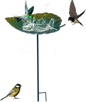 Productafbeelding van 2-in-1 vogelbad en voederstation - Standaardmodel, 83 cm hoog - Vorstvrij - Vogelbad voor de tuin - Weerbestendige vogelvoederdispenser
