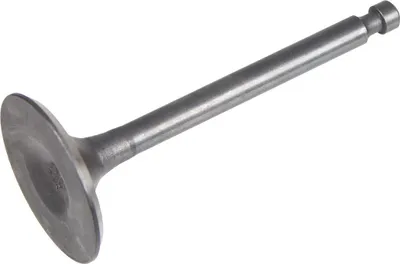 Obrázok produktu pre Zawór ssący Zongshen Xp420 100004534
