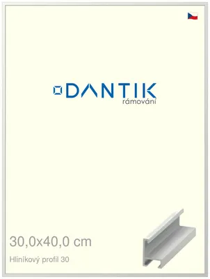 Zdjęcie produktu dla Rama DANTIK 30x40 | Profil ALU 6030 Biały mat (Plexi Clear)