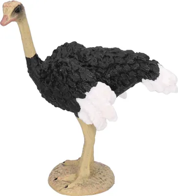 Produktbild von Strauß-Modell, hochsimuliert, Wildtier-Tierfiguren-Sammlung, pädagogisches Prop627