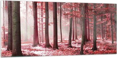 Produktbild von Bilder auf glas - Einteilig - Wald Rot Bäume - 120x50cm - Glasbilder - Wandbilder - Bilder - zum Aufhängen bereit - Wanddekoration aus Glas - Glas Bilder - Wandbild auf Glas - GAB120x50-4944