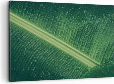 Produktbild von Bild auf Leinwand - Leinwandbild - Einteilig - Makro Blatt Tropfen - 120x80cm - Wand Bild - Wanddeko - Wandbilder - Leinwanddruck - Bilder - Wanddekoration - Leinwand bilder - Wandbild - AA120x80-4372