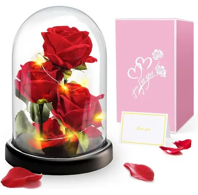 Image de Rose éternelle dans un vase en verre avec guirlande lumineuse, 3 roses rouges, cloche en verre, cadeau pour femmes