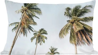 Produktbild von MuchoWow® Zierkissen Sofakissen Wohnzimmer Dekokissen 60x40 cm Palmen - Sommer - Tropisch - Kopfkissen - Polster mit Foto