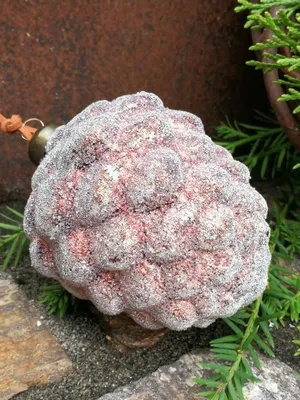 Produktbild von Christbaumkugel Zapfen Mikana 10 cm, rotbraun