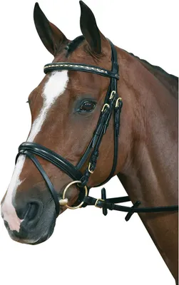 Produktbild von Hubertus Classic Zaum in F/S